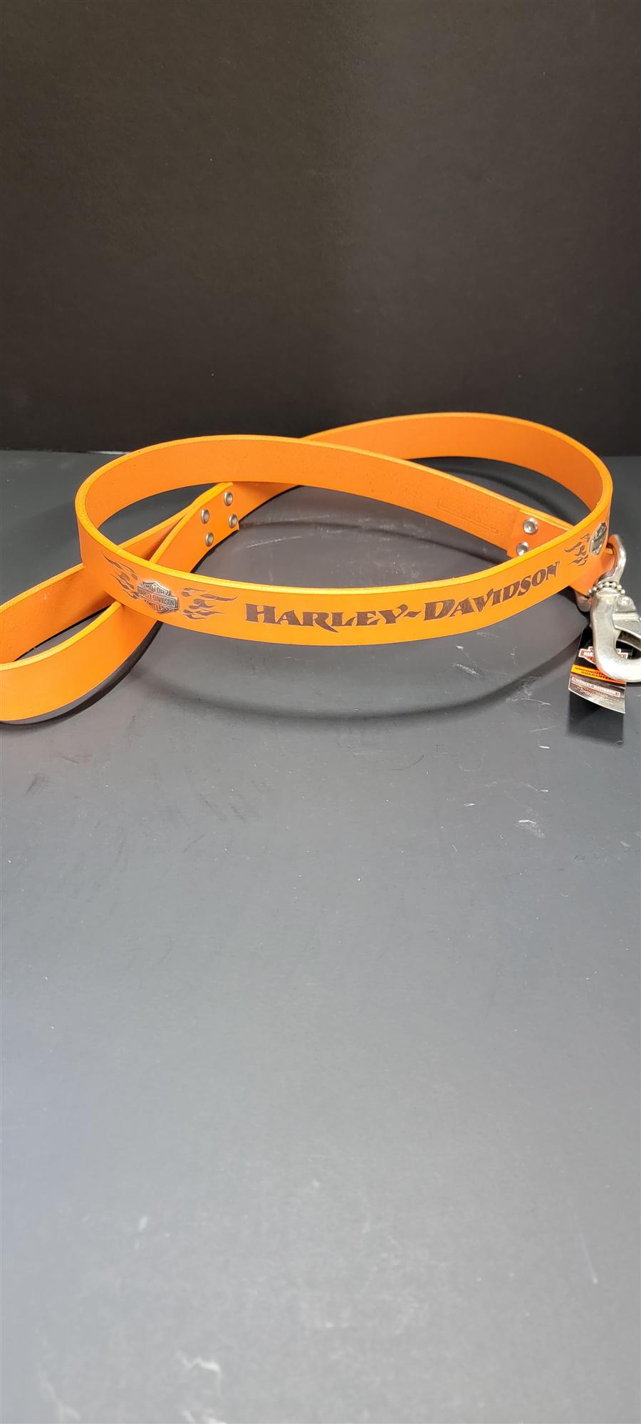 Harley Davidson Leash Orange